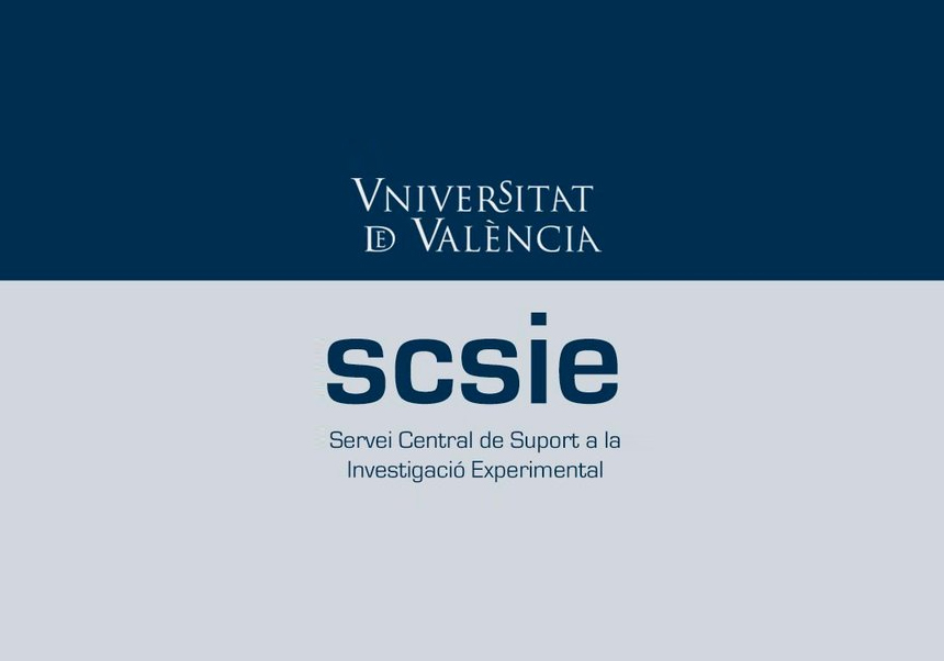 SCSIE, horarios de verano 2023